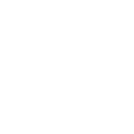 Digital platforms icon